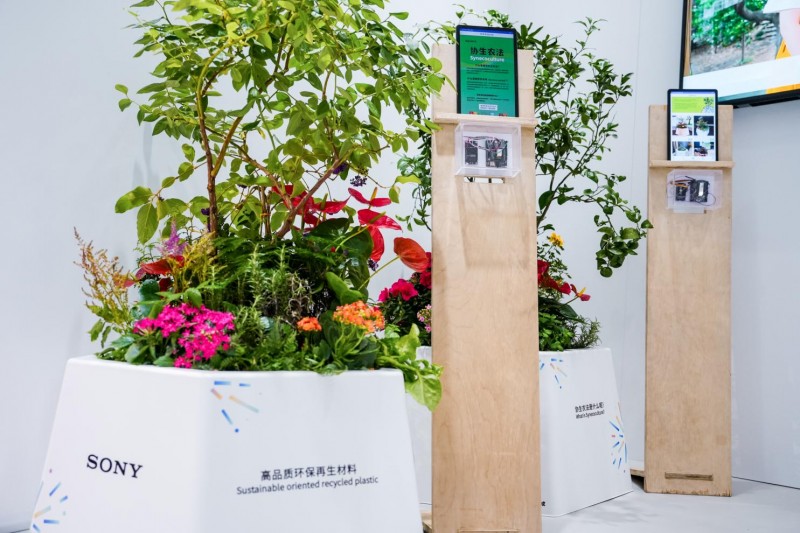 科技赋能创意和可持续 索尼携多元创新成果亮相2024中国国际进口博览会
